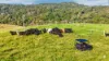110 Blacks Road, Dalrymple Heights QLD 4757-Image