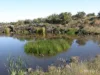 110 Duckholes Road, Dreeite, Vic 3249-Image