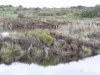 110 Duckholes Road, Dreeite, Vic 3249-Image