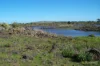 110 Duckholes Road, Dreeite, Vic 3249-Image