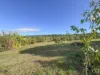 110 Keates Road, Ashwell, Qld 4340-Image