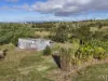 110 Keates Road, Ashwell, Qld 4340-Image