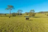 110 Lika Drive, Euroka, NSW 2440-Image