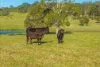 110 Lika Drive, Euroka, NSW 2440-Image