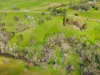 1104 Yarck Road, Gobur, Vic 3719-Image