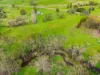 1104 Yarck Road, Gobur, Vic 3719-Image
