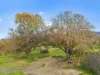 1104 Yarck Road, Gobur, Vic 3719-Image