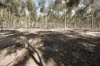 1105, Pental Island VIC 3586-Image