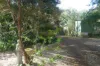 1108 Eden Creek Road, Kyogle, NSW 2474-Image