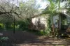 1108 Eden Creek Road, Kyogle, NSW 2474-Image
