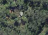 1108 Eden Creek Road, Kyogle, NSW 2474-Image