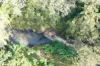 1108 Eden Creek Road, Kyogle, NSW 2474-Image