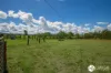 111 Brassils Creek Road, Toorooka, NSW 2440-Image