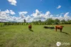 111 Brassils Creek Road, Toorooka, NSW 2440-Image