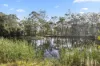 111 Halls Road, Pokolbin, NSW 2320-Image