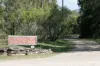 111 Halls Road, Pokolbin, NSW 2320-Image
