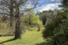111 Ian Holt Drive, Lidsdale, NSW 2790-Image