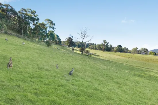 111 Magpie Hollow Road, Lithgow, NSW 2790