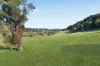111 Magpie Hollow Road, Lithgow, NSW 2790-Image