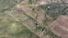 111 Vaughan Road, Darts Creek QLD 4695-Image