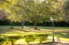 112 Halls Road, Pokolbin, NSW 2320-Image