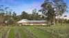 112 Halls Road, Pokolbin, NSW 2320-Image
