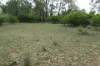 112 Harwoods Road, Goranba, Qld 4421-Image
