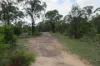112 Harwoods Road, Goranba, Qld 4421-Image