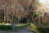 1121 Benalla - Whitfield Road, Myrrhee, Vic 3732-Image