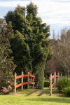 1121 Benalla - Whitfield Road, Myrrhee, Vic 3732-Image