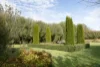 1121 Benalla - Whitfield Road, Myrrhee, Vic 3732-Image
