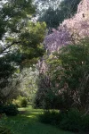 1121 Benalla - Whitfield Road, Myrrhee, Vic 3732-Image