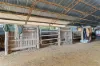 1127 Old Maryborough Road, Corella QLD 4570-Image