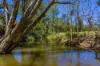 1127 Old Maryborough Road, Corella QLD 4570-Image
