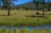 1127 Old Maryborough Road, Corella QLD 4570-Image