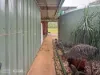 1128 Edith Farms Road, Katherine, NT 0850-Image