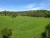 113 Bruxner Highway, Mummulgum NSW 2469-Image