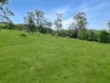 113 Bruxner Highway, Mummulgum NSW 2469-Image