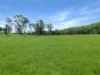 113 Bruxner Highway, Mummulgum NSW 2469-Image