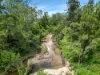 113 Bruxner Highway, Mummulgum NSW 2469-Image