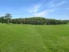 113 Bruxner Highway, Mummulgum NSW 2469-Image