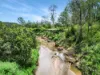 113 Bruxner Highway, Mummulgum NSW 2469-Image