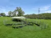 113 Bruxner Highway, Mummulgum NSW 2469-Image
