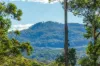 113 Kiaka Road, Nethercote, NSW 2549-Image
