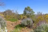 114 Bobadah Road, Mudgee, NSW 2850-Image