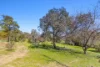 114 Bobadah Road, Mudgee, NSW 2850-Image