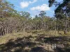 114 Nangawooka Road, Mudgee, NSW 2850-Image