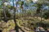 114 Nangawooka Road, Mudgee, NSW 2850-Image