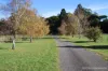 114 Wilsons Road, Bullarook, Vic 3352-Image