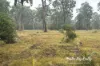 1140 Old Esk Road, Blackbutt, Qld 4314-Image